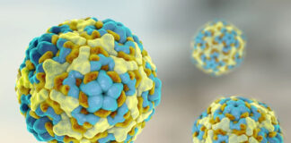 О том, как энтеровирусы поражают организм, врач-инфекционист Лилия Коховец