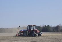 Дрогичинщина первой в республике приступила к севу «белорусского шелка»