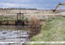 Александр Лукашенко заявил о необходимости менять тактику мелиорации