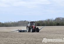 В Дрогичинском районе завершился сев сладких корнеплодов