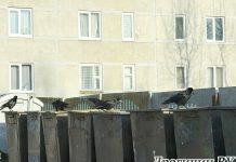 Кто в ответе за бардак?