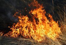 Дрогичинский РОЧС напоминает о правилах разведения костров