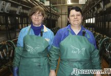 Из чего складывается успех в животноводстве