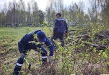 Республиканский субботник проходит в Дрогичинском районе (ФОТОРЕПОРТАЖ)