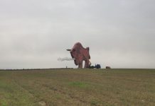 В кафе у фигуры зубра на трассе М1 планируют угощать белорусско-татарской кухней