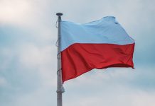 Решение Зеленского о героизации УПА вызвало бурю негодования в Польше
