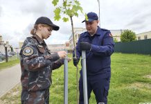 В Дрогичине высадили Аллею памяти в честь Великой Победы