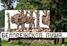 На подъезде к Беловежской пуще появится музыкальная дорога с «заповедным напевом»