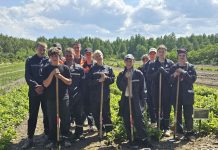 В Дрогичинском районе студотряды приступили к работе