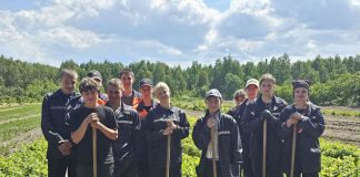 В Дрогичинском районе студотряды приступили к работе