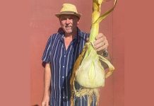 В Великобритании фермер установил два мировых рекорда благодаря своему урожаю