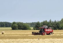Три сельхозпредприятия района выполнили госзаказ по поставке ячменя и рапса