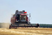 В Дрогичинском районе продолжается уборка зерновых
