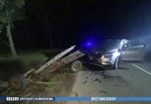 В Дрогичинском районе произошло смертельное ДТП
