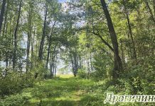 В «Званце» продолжают развивать новую экологическую тропу