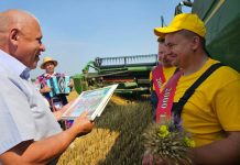 Два экипажа комбайнов и водитель стали первыми двухтысячниками жатвы