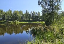 В Белинке очевидец спас тонущего мужчину