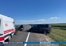 В Дрогичинском районе произошло смертельное ДТП