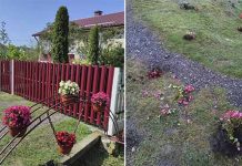 В Новой Попине неизвестные уничтожили цветы, которые так бережно выращивали хозяева
