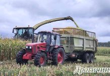 В Дрогичинском районе продолжается уборка кукурузы на силос и зерно